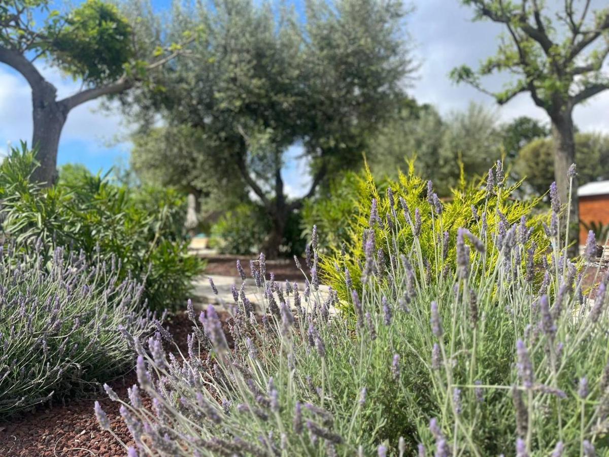 Maison Dei Trulli Apartment Locorotondo Bagian luar foto
