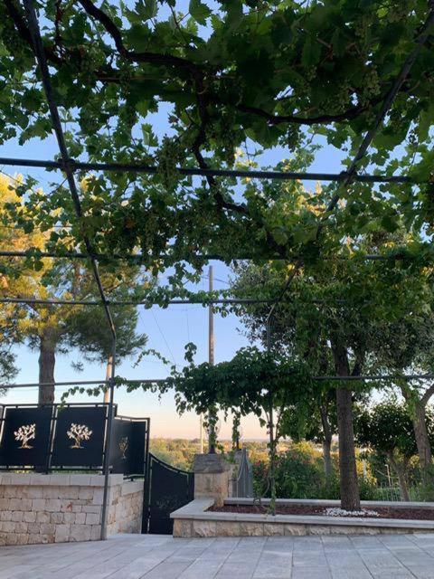 Maison Dei Trulli Apartment Locorotondo Bagian luar foto