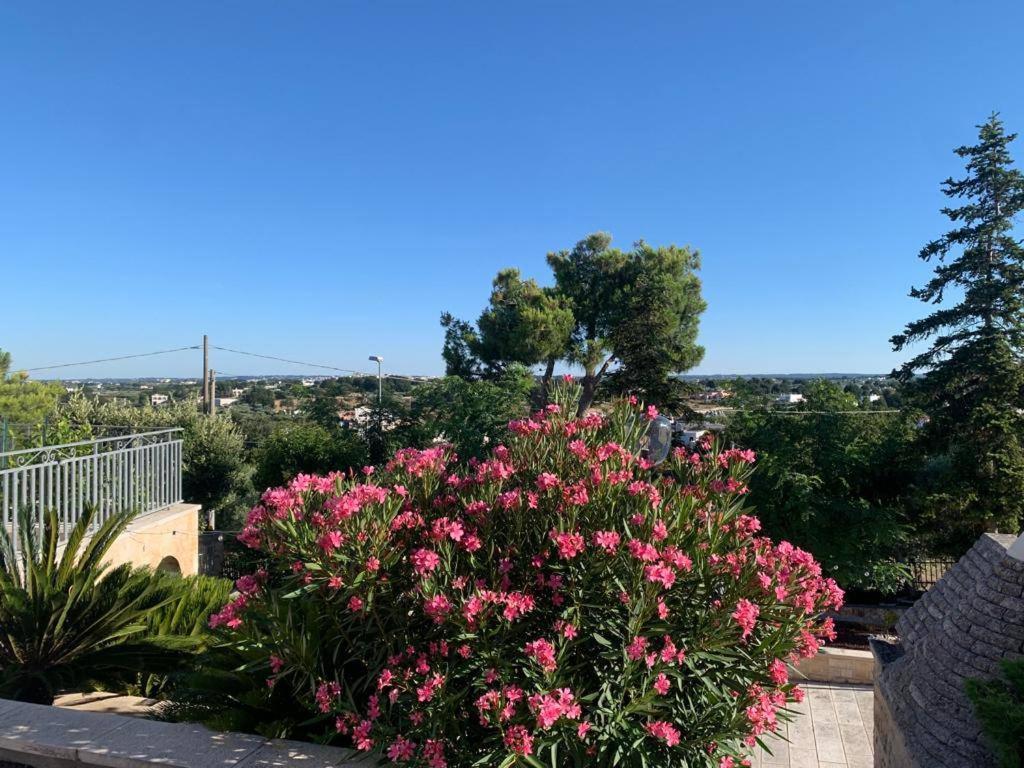 Maison Dei Trulli Apartment Locorotondo Bagian luar foto