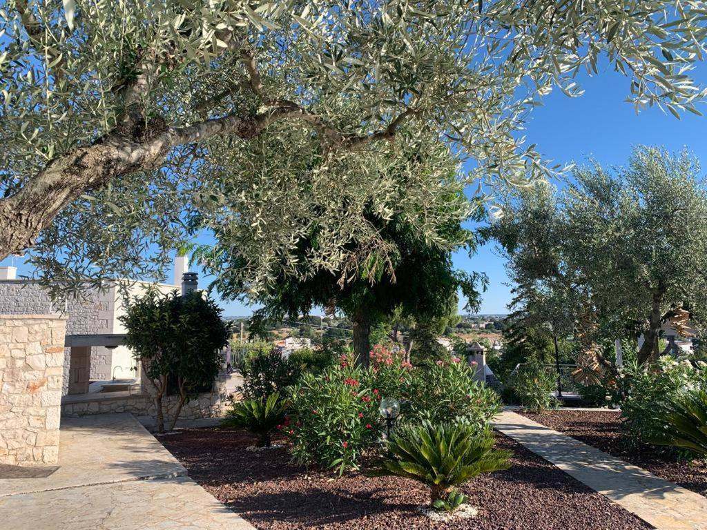 Maison Dei Trulli Apartment Locorotondo Bagian luar foto